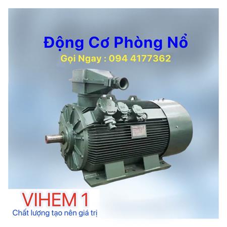 Động cơ phòng nổ - Quạt Công Nghiệp VIHEM 1 - Công Ty Cổ Phần Chế Tạo Máy Điện Việt Nam - Hungari 1